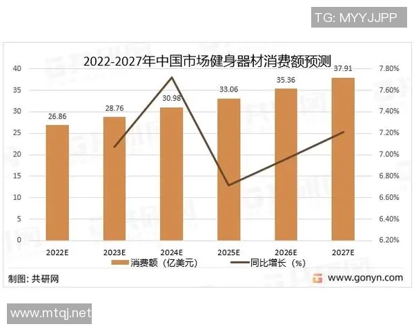 小型健身器材公司运营模式及市场机会 小型健身器材公司运营模式及市场机会