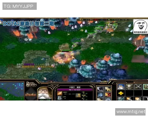 杨强独家揭秘DOTA2游戏策略与心得分享助你提升竞技水平