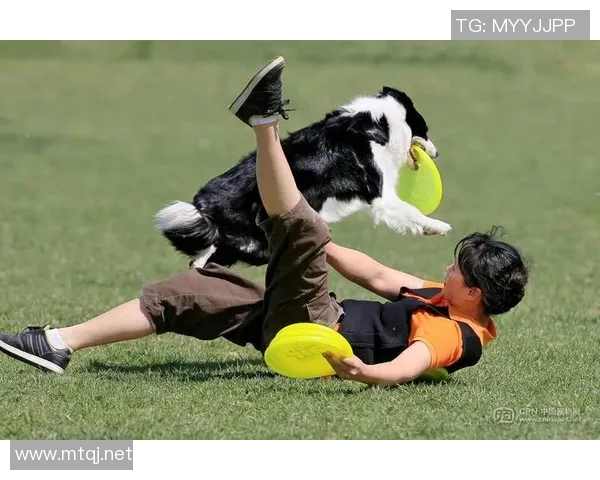 成都飞盘队在极限运动世界杯积分榜中以65分稳居第一名引发关注