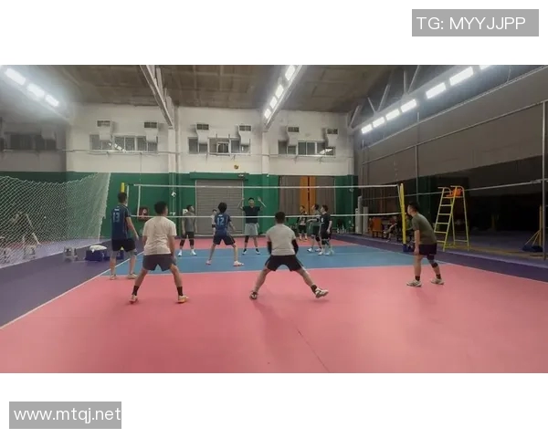 深圳排球队战术创新引发热议助力球队重返巅峰之路