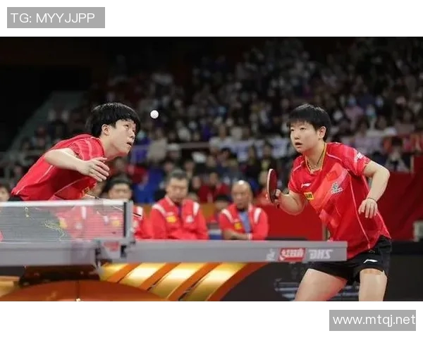 南京乒乓球队快攻战术解析与训练方法深度剖析